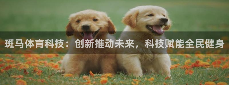 斑马体育科技：创新推动未来，科技赋能全民健身