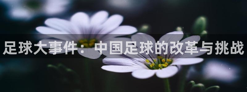 足球大事件：中国足球的改革与挑战