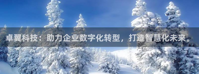 卓翼科技：助力企业数字化转型，打造智慧化未来。