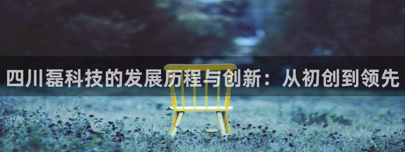 四川磊科技的发展历程与创新：从初创到领先