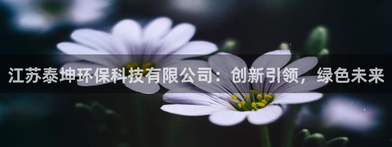 江苏泰坤环保科技有限公司：创新引领，绿色未来