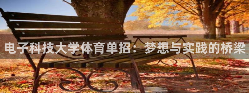 电子科技大学体育单招：梦想与实践的桥梁