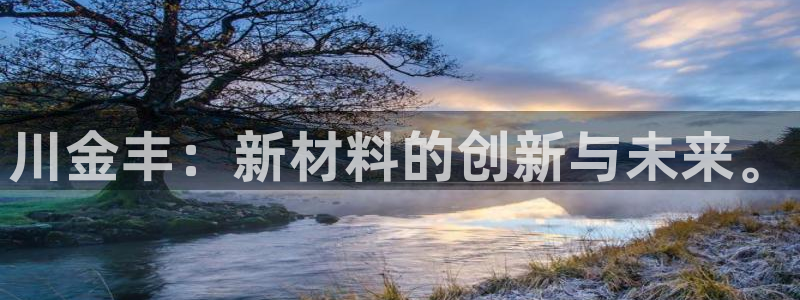 川金丰：新材料的创新与未来。