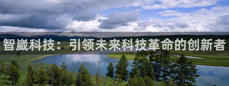 智崴科技：引领未来科技革命的创新者