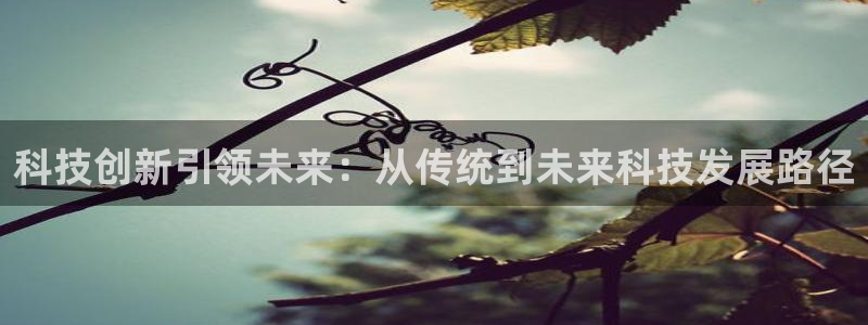 科技创新引领未来：从传统到未来科技发展路径