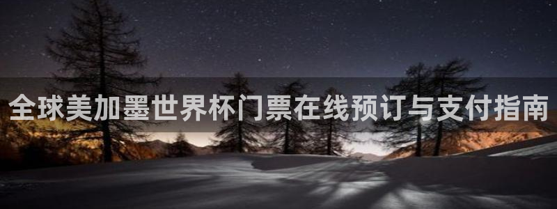 全球美加墨世界杯门票在线预订与支付指南