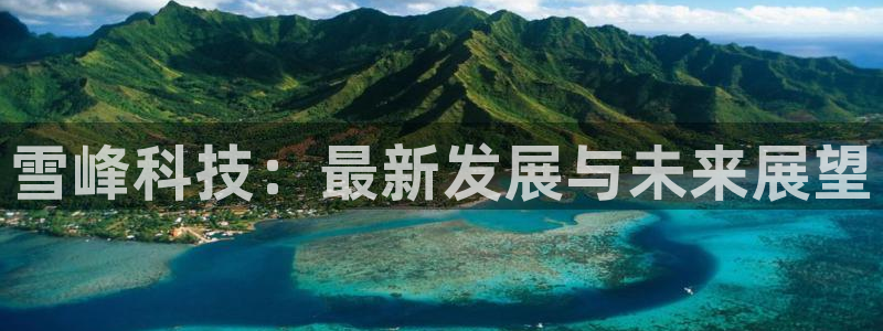 雪峰科技：最新发展与未来展望