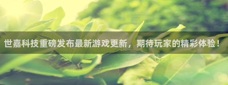 世嘉科技重磅发布最新游戏更新，期待玩家的精彩体验！
