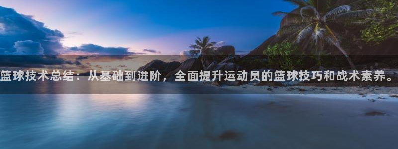 篮球技术总结：从基础到进阶，全面提升运动员的篮球技巧和战术素养。