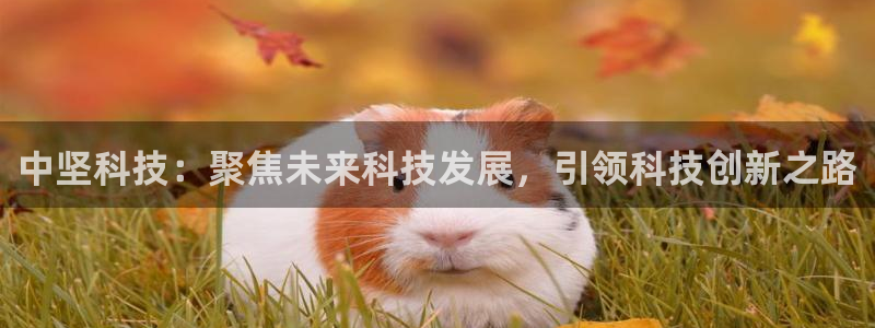 中坚科技：聚焦未来科技发展，引领科技创新之路