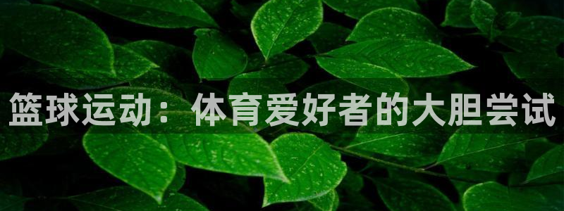 篮球运动：体育爱好者的大胆尝试