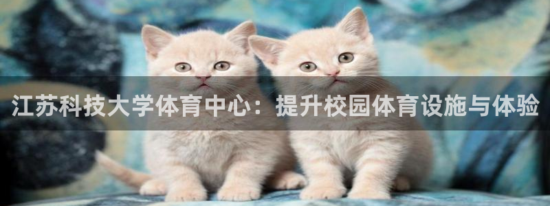 江苏科技大学体育中心：提升校园体育设施与体验
