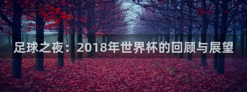 足球之夜：2018年世界杯的回顾与展望