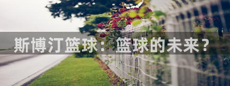 斯博汀篮球：篮球的未来？