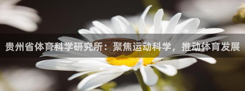 贵州省体育科学研究所：聚焦运动科学，推动体育发展